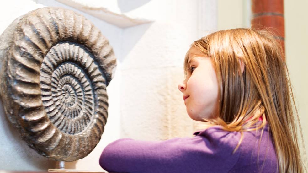 Free events in February girl looking at fossil